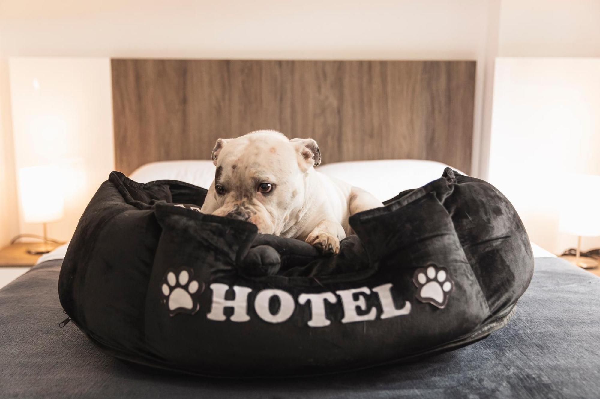 Hotel Boutique Bussines Center Кали Екстериор снимка